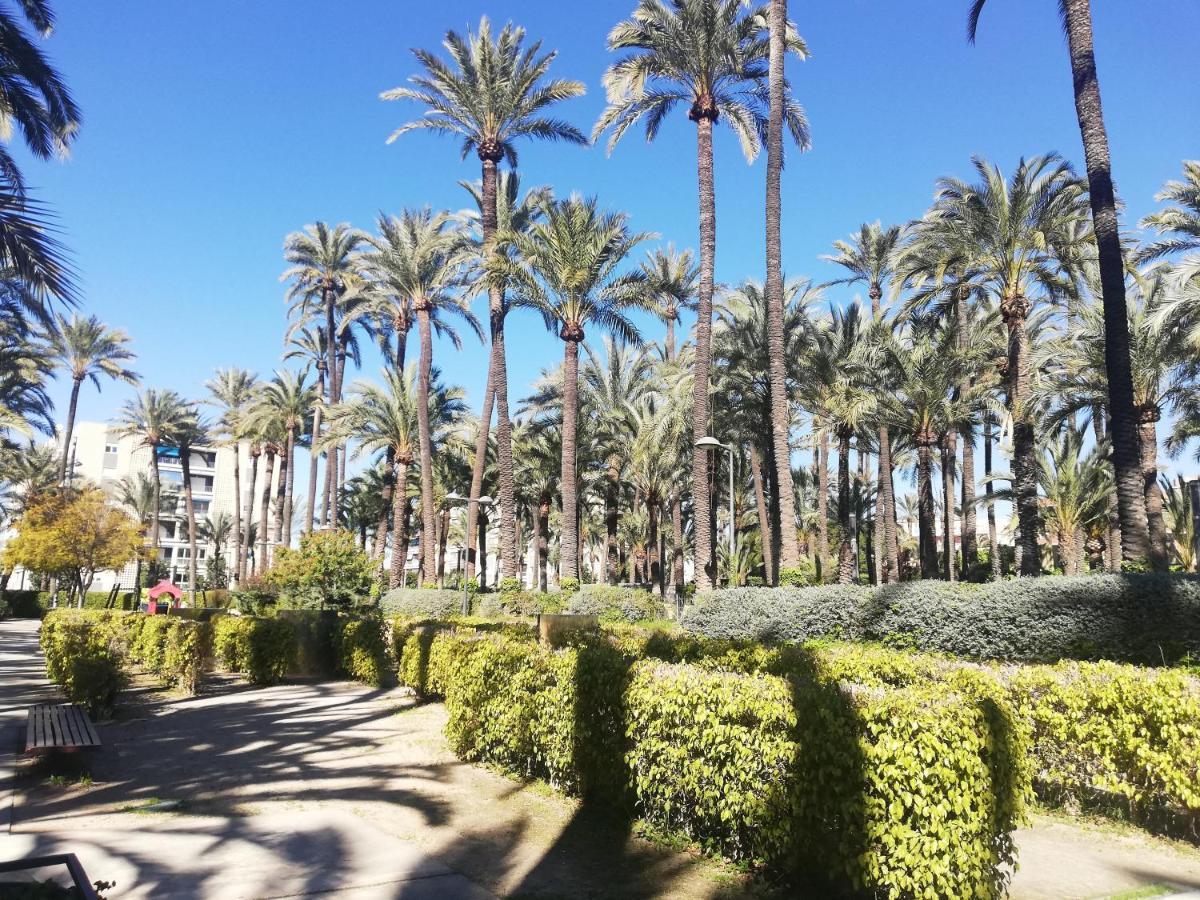 Santa Pola Salamanca 10 Apartamento, Garaje Subterraneo, Fibra Optica, Lavavajillas, Aire Acondicionado, Gran Terraza, Grand Playa 450M Екстер'єр фото